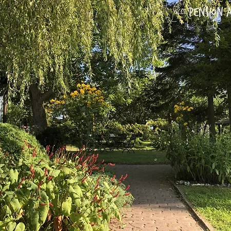 Am Hochufer Gasthof Lohme